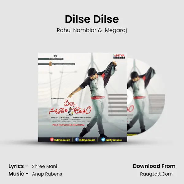 Dilse Dilse MP3 Song by Rahul Nambiar Cover