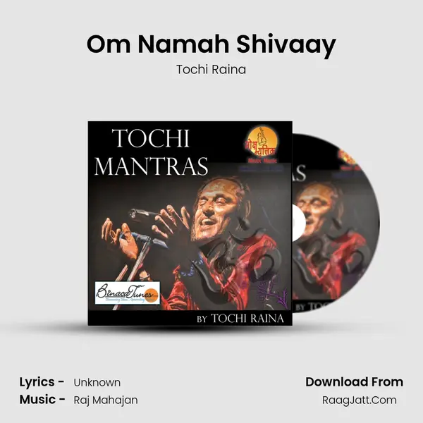 Om Namah Shivaay MP3 Song by Tochi Raina Cover