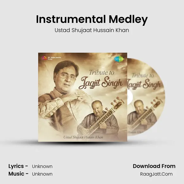 Instrumental Medley MP3 Song by Ustad Shujaat Hussain Khan Cover
