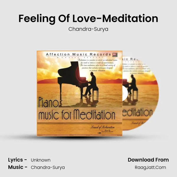 Feeling Of Love-Meditation MP3 Song by Chandra-Surya Cover