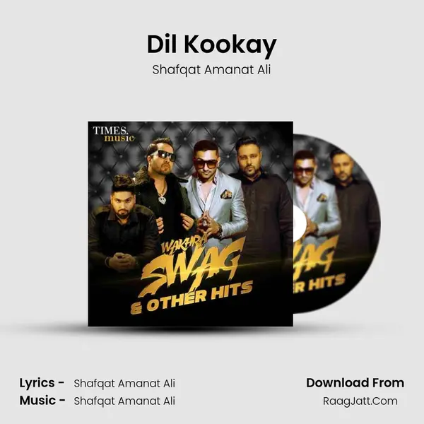 Dil Kookay Cover