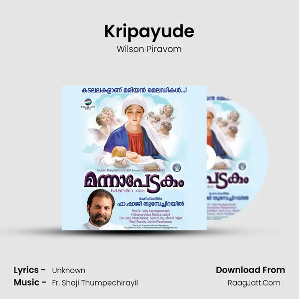 Kripayude MP3 Song by Wilson Piravom Cover