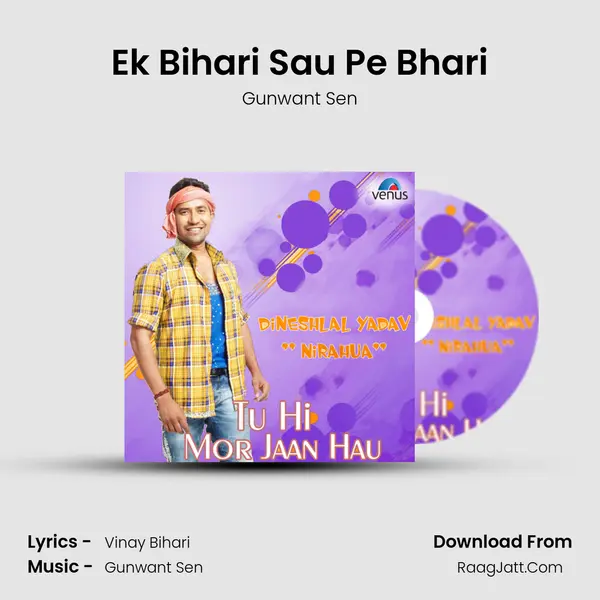 Ek Bihari Sau Pe Bhari Cover