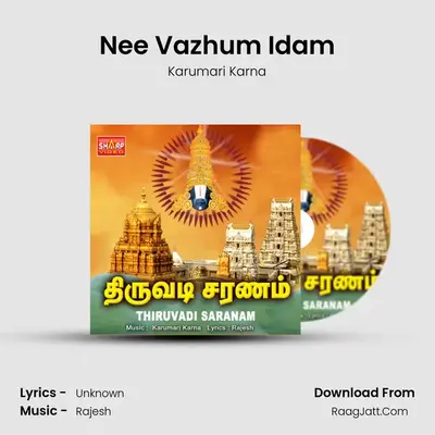 Nee Vazhum Idam MP3 Song by Karumari Karna Cover