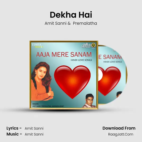 Dekha Hai MP3 Song by Amit Sanni Cover