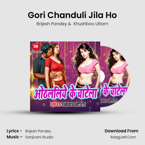 Gori Chanduli Jila Ho MP3 Song by Brijesh Pandey Cover
