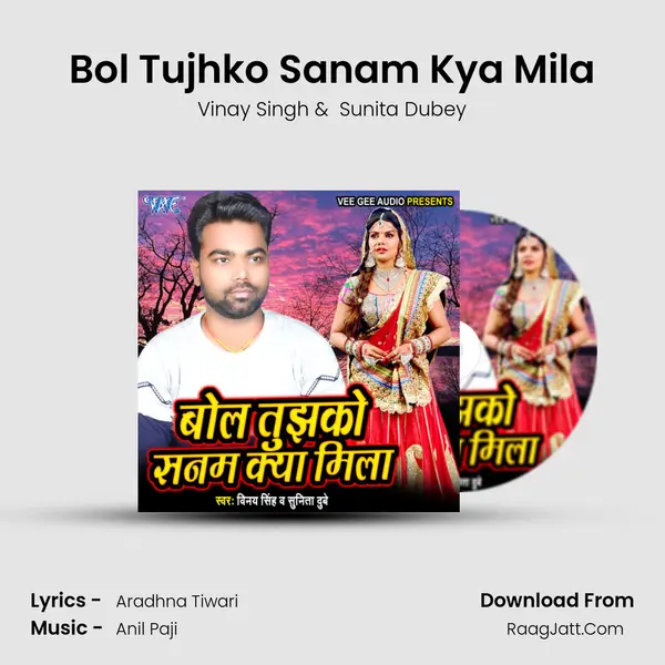 Bol Tujhko Sanam Kya Mila mp3 song