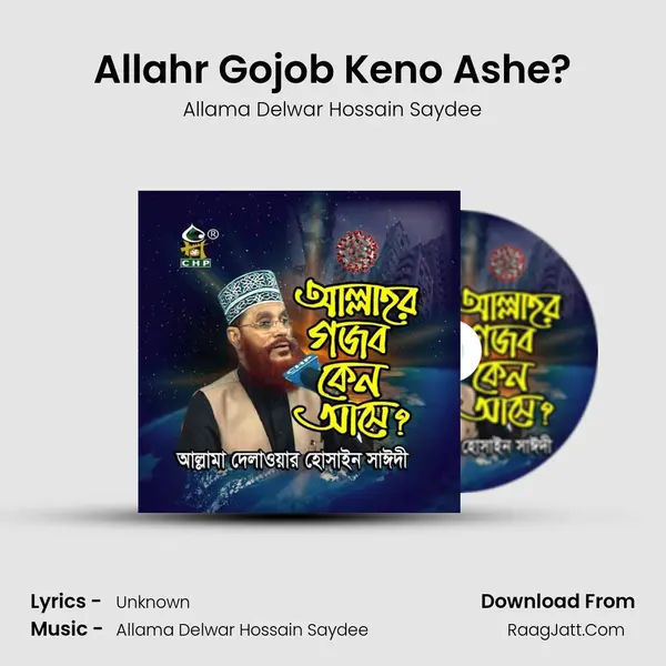 Allahr Gojob Keno Ashe? MP3 Song by Allama Delwar Hossain Saydee Cover