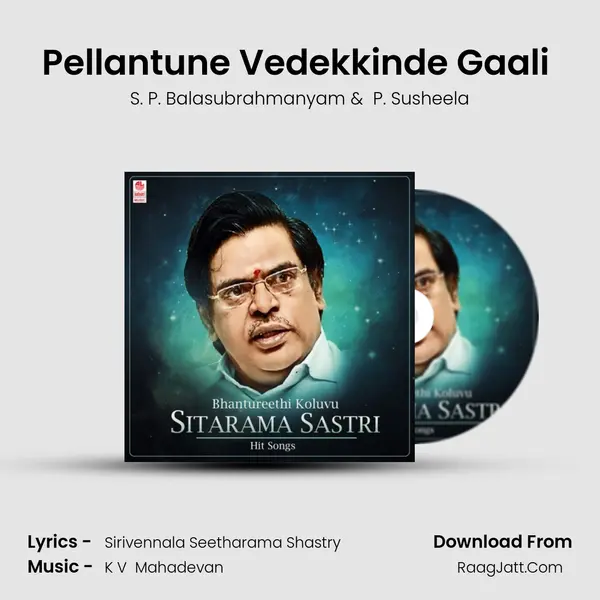 Pellantune Vedekkinde Gaali (From 