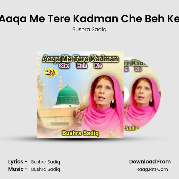 Aaqa Me Tere Kadman Che Beh Ke Cover
