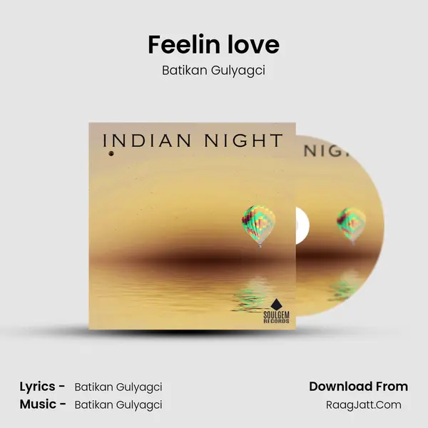 Feelin love MP3 Song by Batikan Gulyagci Cover