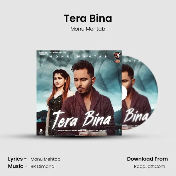 Tera Bina MP3 Song by Monu Mehtab Cover