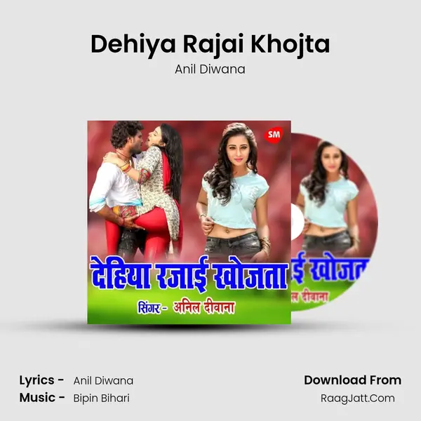 Dehiya Rajai Khojta MP3 Song by Anil Diwana Cover
