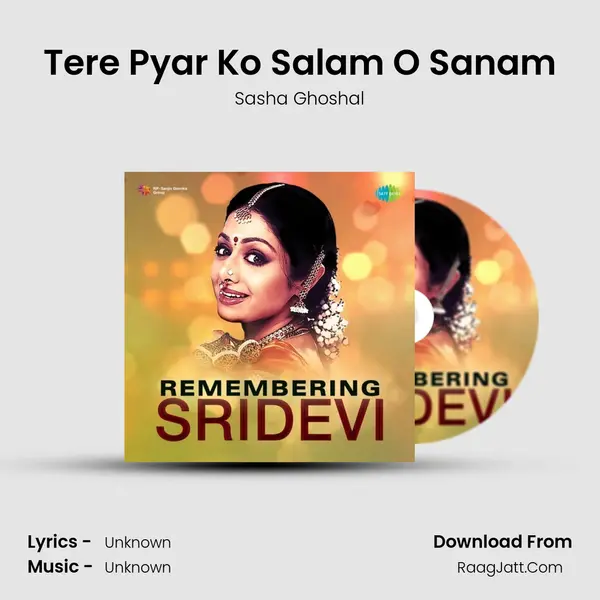 Tere Pyar Ko Salam O Sanam Cover