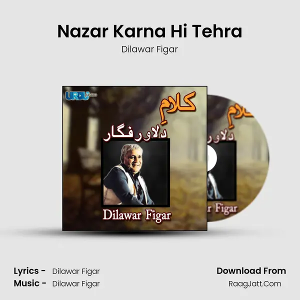 Nazar Karna Hi Tehra mp3 song