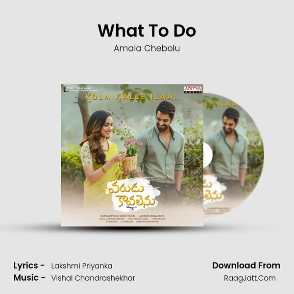 What To Do MP3 Song by Amala Chebolu Cover