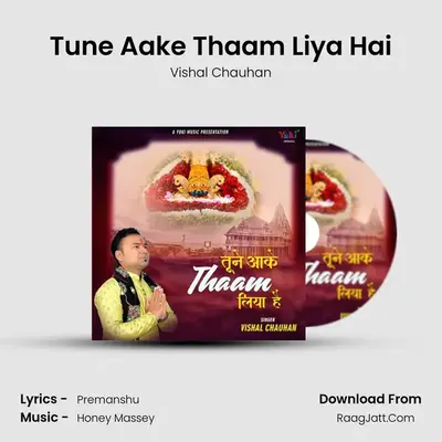 Tune Aake Thaam Liya Hai mp3 song
