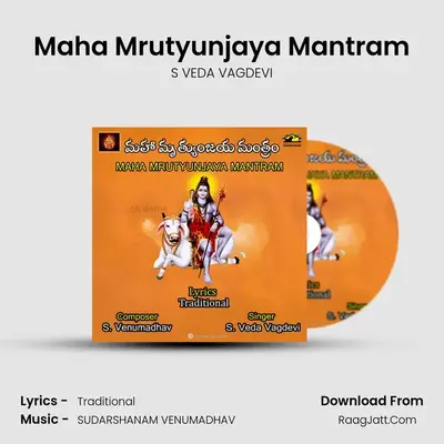 Maha Mrutyunjaya Mantram - S VEDA VAGDEVI