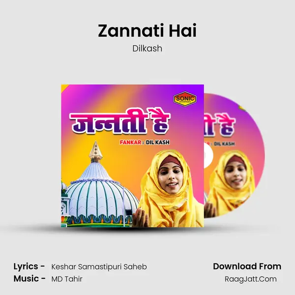 Zannati Hai MP3 Song by Dilkash Cover