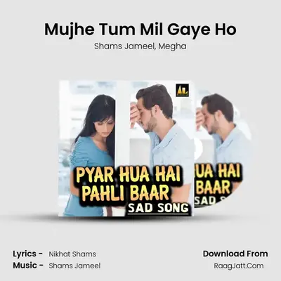 Mujhe Tum Mil Gaye Ho MP3 Song by Shams Jameel Cover