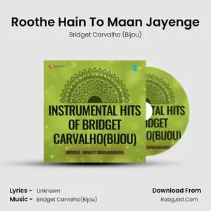 Roothe Hain To Maan Jayenge Cover