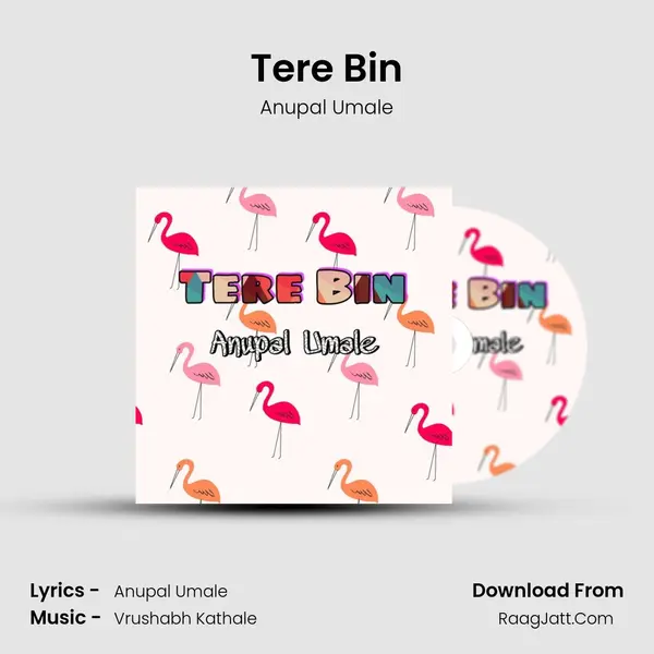 Tere Bin MP3 Song by Anupal Umale Cover
