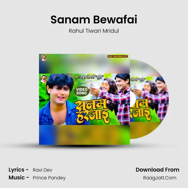 Sanam Bewafai mp3 song