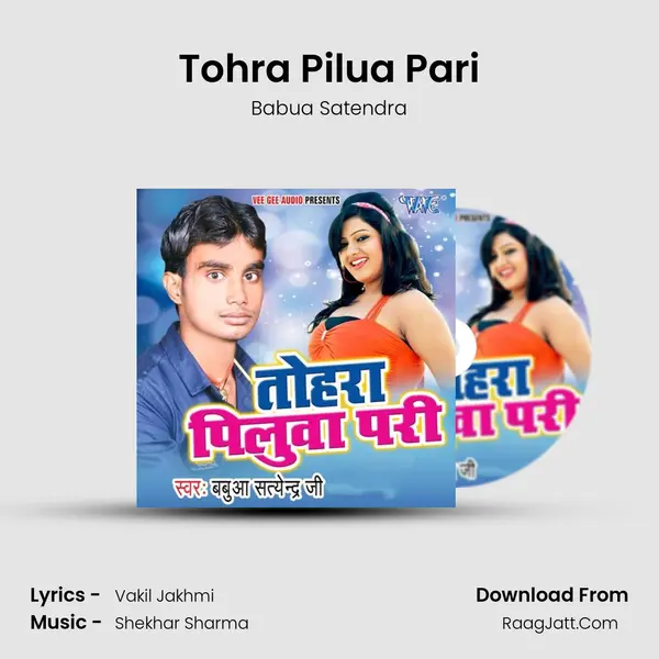 Tohra Pilua Pari MP3 Song by Babua Satendra Cover