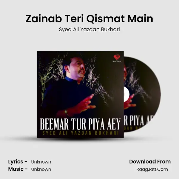 Zainab Teri Qismat Main Cover
