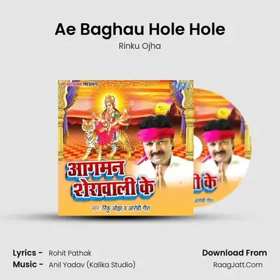 Ae Baghau Hole Hole MP3 Song by Rinku Ojha Cover
