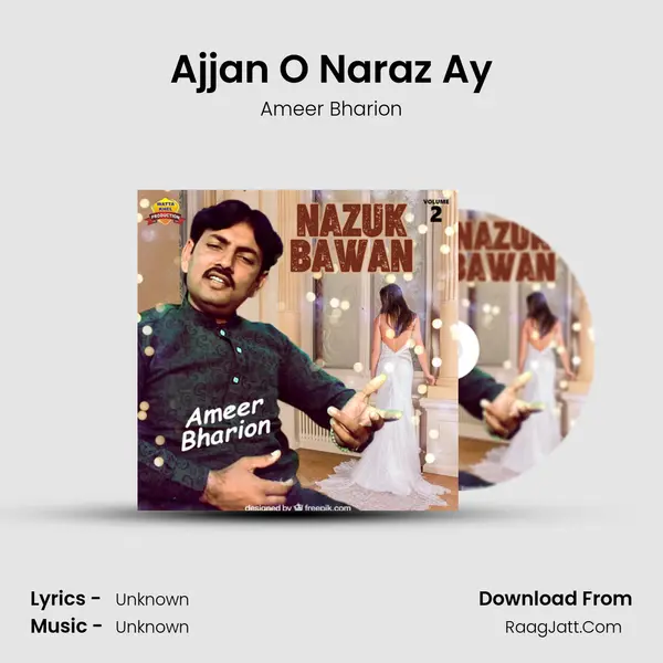 Ajjan O Naraz Ay MP3 Song by Ameer Bharion Cover