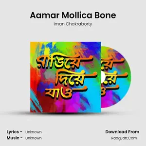 Aamar Mollica Bone Cover