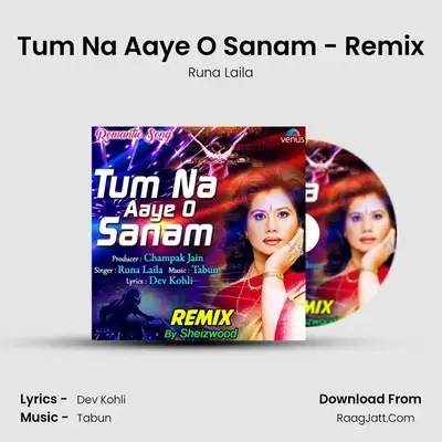 Tum Na Aaye O Sanam - Remix mp3 song