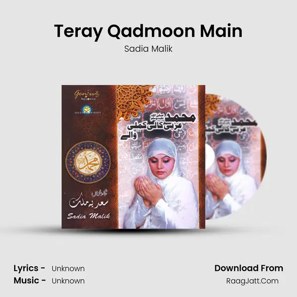 Teray Qadmoon Main MP3 Song by Sadia Malik Cover