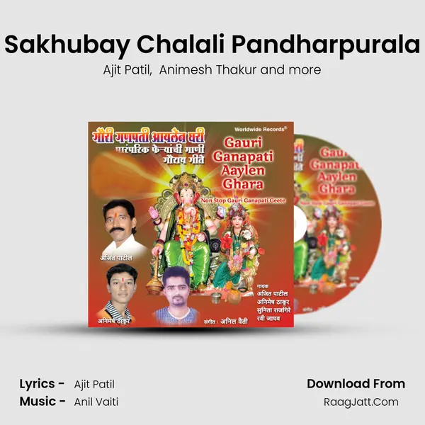 Sakhubay Chalali Pandharpurala MP3 Song by Ajit Patil Cover