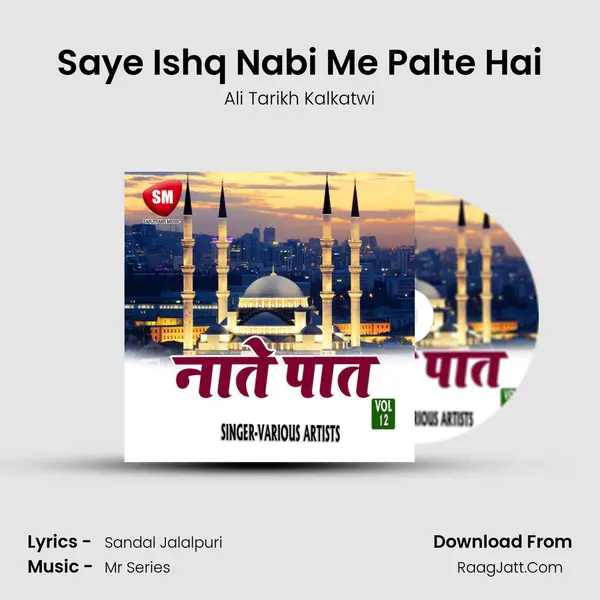 Saye Ishq Nabi Me Palte Hai mp3 song
