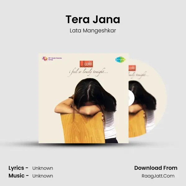 Tera Jana Cover