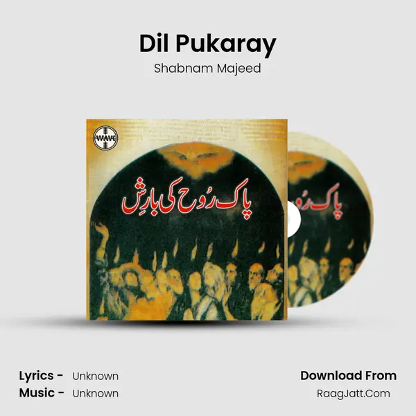 Dil Pukaray MP3 Song by Shabnam Majeed Cover