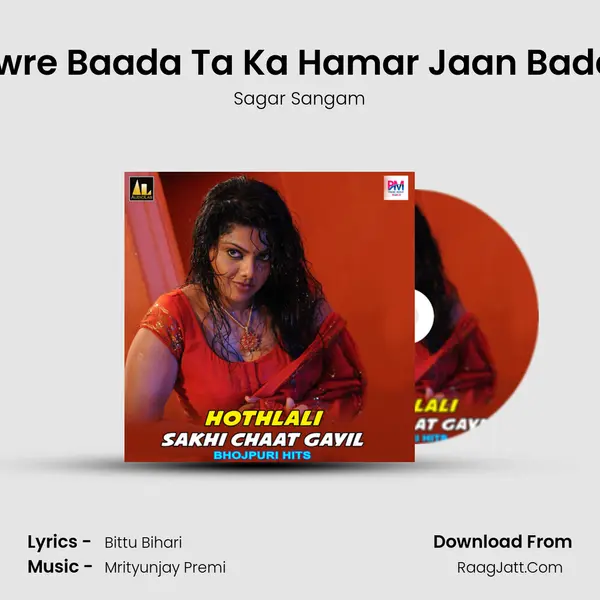 Sanwre Baada Ta Ka Hamar Jaan Bada Ho MP3 Song by Sagar Sangam Cover