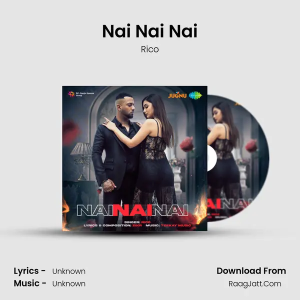 Nai Nai Nai Cover