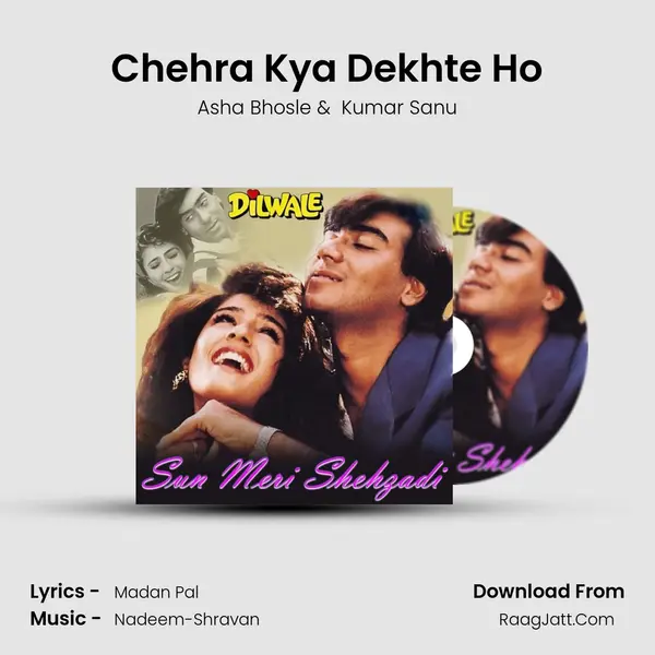 Chehra Kya Dekhte Ho Cover
