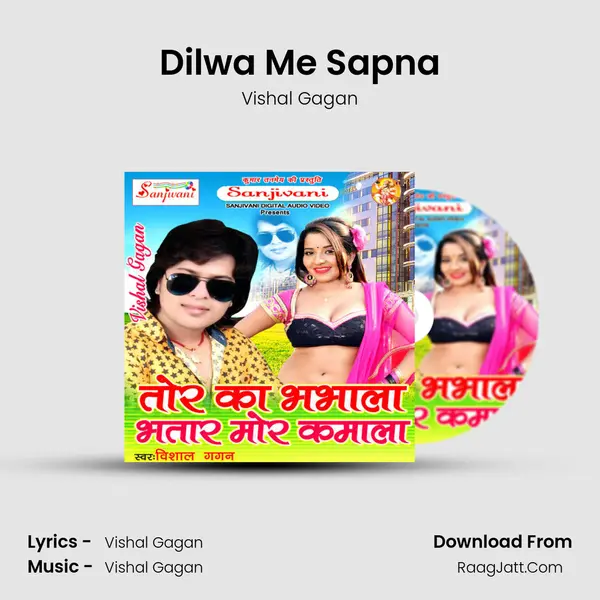 Dilwa Me Sapna MP3 Song by Vishal Gagan Cover