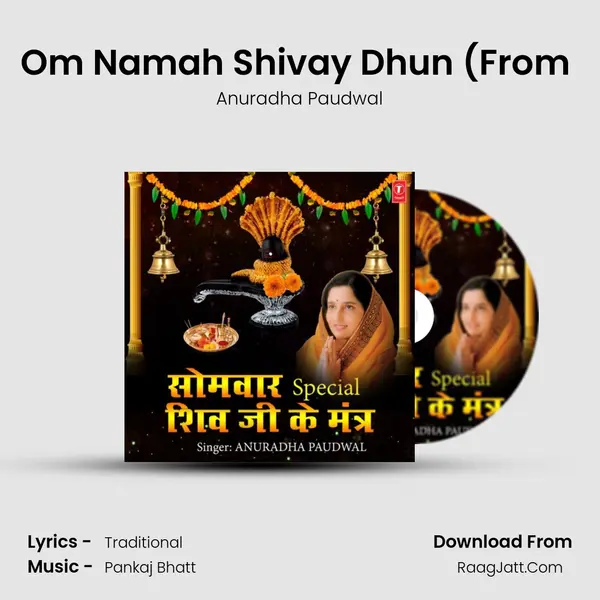 Om Namah Shivay Dhun (From  MP3 Song by Anuradha Paudwal Cover