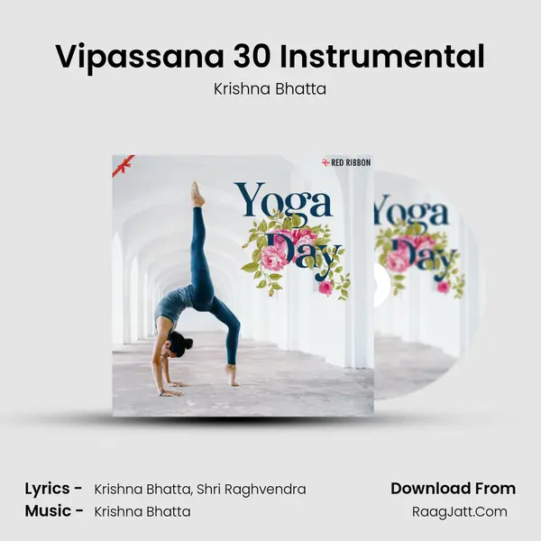 Vipassana 30 Instrumental MP3 Song by Krishna Bhatta Cover