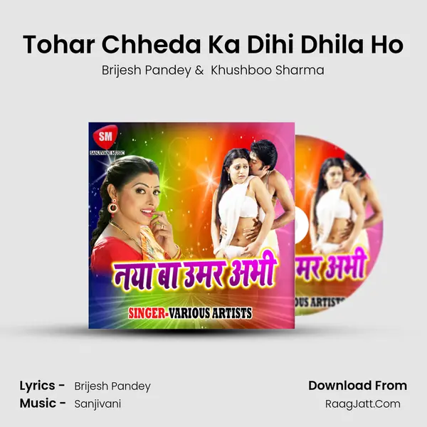 Tohar Chheda Ka Dihi Dhila Ho MP3 Song by Brijesh Pandey Cover