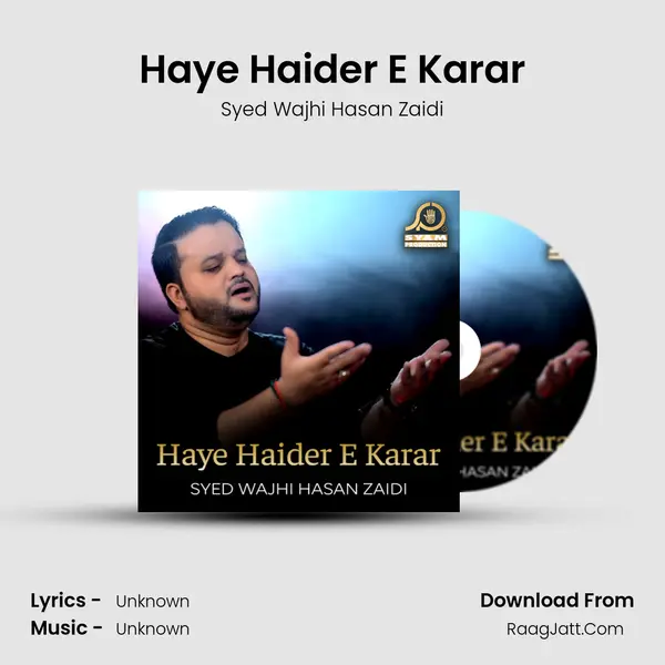 Haye Haider E Karar - Single - 