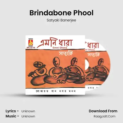 Brindabone Phool MP3 Song by Satyaki Banerjee Cover
