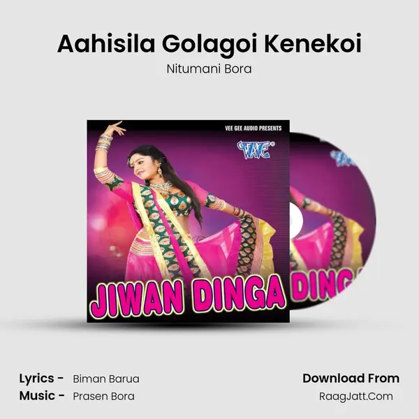 Aahisila Golagoi Kenekoi MP3 Song by Nitumani Bora Cover
