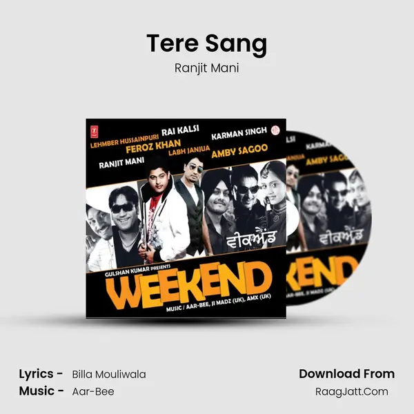 Tere Sang Cover