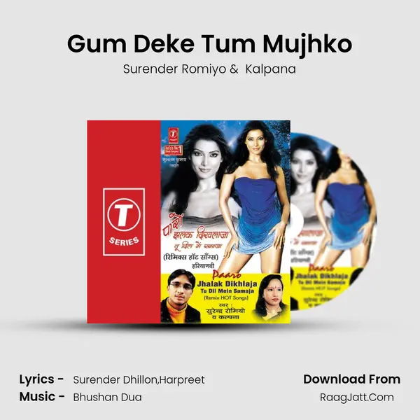 Gum Deke Tum Mujhko MP3 Song by Surender Romiyo Cover